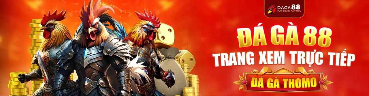 Đấu trường đá gà r888 bet kịch tính