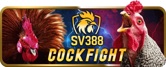 Hệ thống nạp rút tiền nhanh chóng của r888 bet